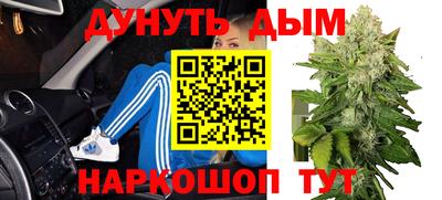 шишки Абинск